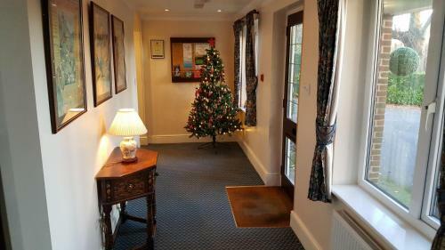 Hostal The Pilgrim's Guest House