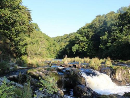 The Log Cabin, Newcastle Emlyn