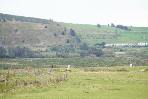 Bwthyn Trefdraeth