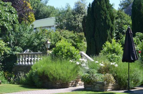 Villa Western House