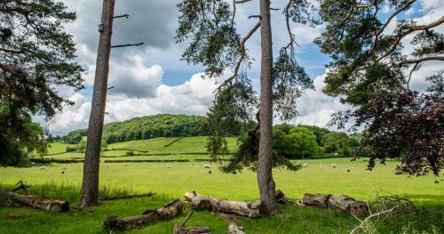 Bed & Breakfast Swn Y Coed