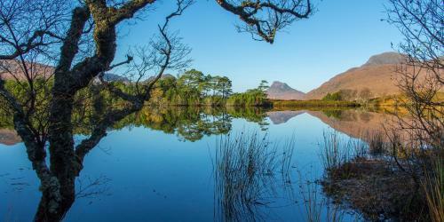 Mountview Self Catering