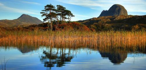 Mountview Self Catering