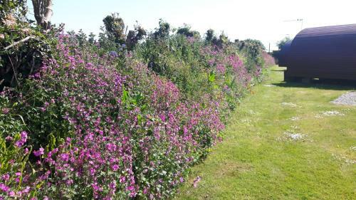 Polborder Holidays Looe Country Park