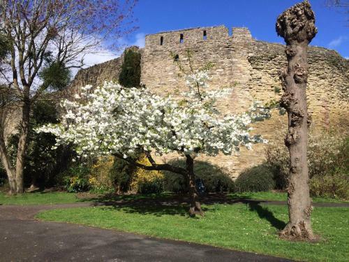 Hotel Dinham Hall & Elliotts Bistro