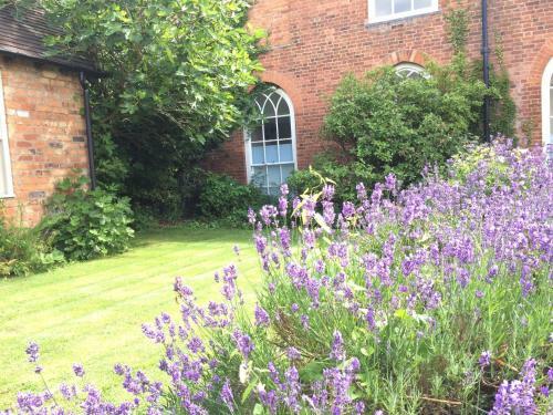 Hotel Dinham Hall & Elliotts Bistro