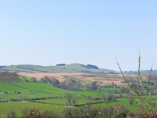 Vrongoch Cottage