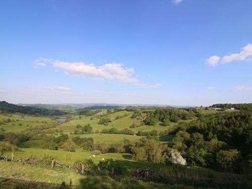 The Firs, Llanidloes