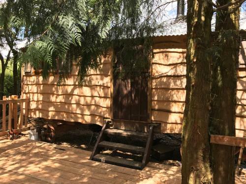 Llethrau Forest & Nature Retreats