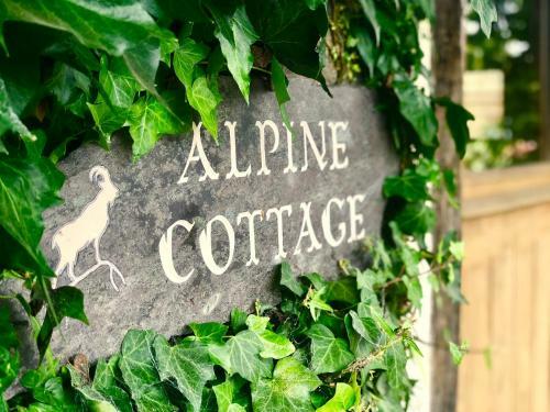 Llethrau Forest & Nature Retreats