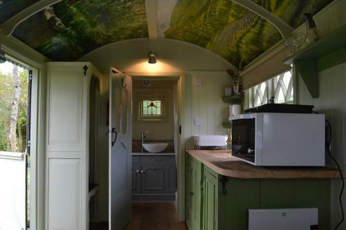 Llethrau Forest & Nature Retreats
