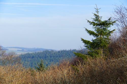 Llethrau Forest & Nature Retreats