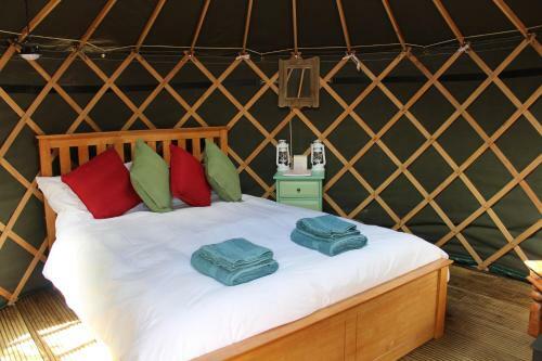 Llethrau Forest & Nature Retreats