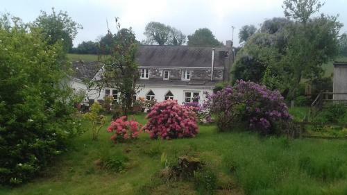 Hills Farm B&B Laugharne