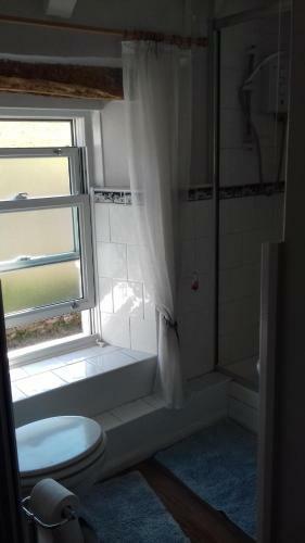 Hills Farm B&B Laugharne