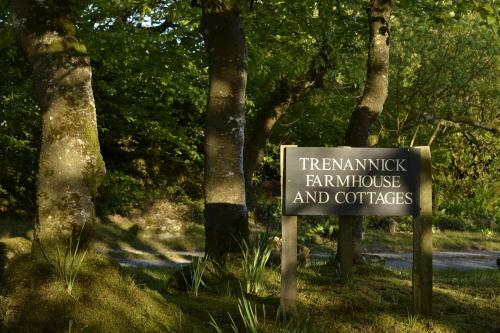 Pond Meadow At Trenannick Cottages