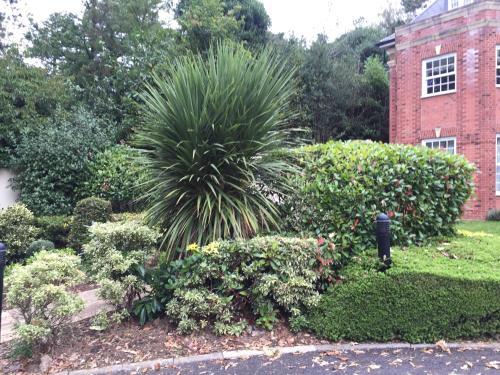 Leamington Spa Serviced Apartments - Ince House