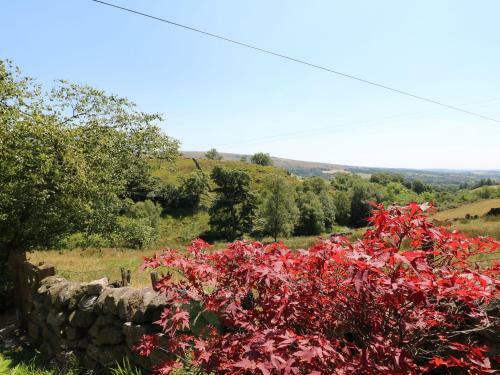 The Laburnum Retreat, Leek
