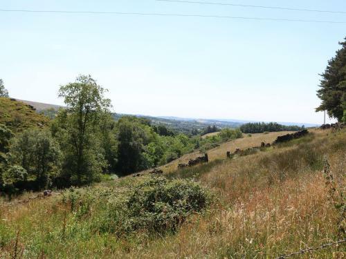 The Laburnum Retreat, Leek