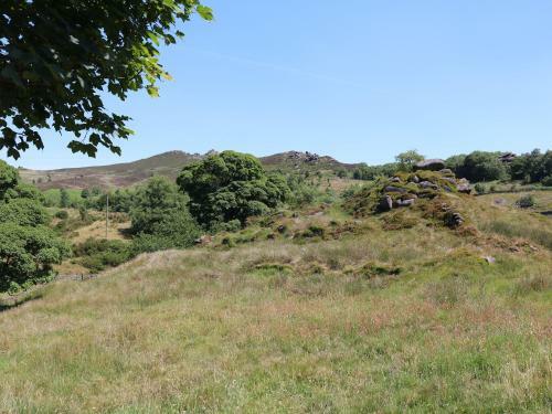 The Laburnum Retreat, Leek