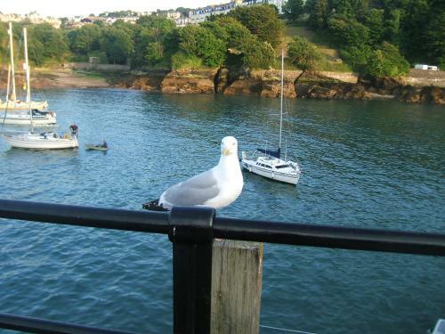 Devon Bay Hotel