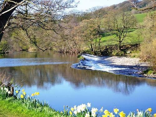 Kingfisher, Ilkley