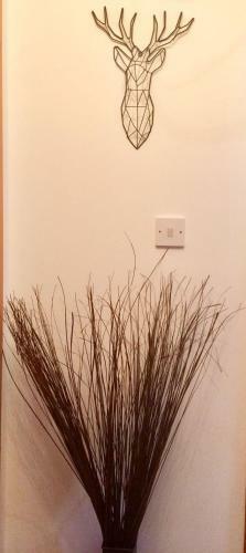Culduthel Park Apartment