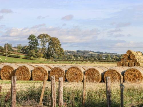 Bonjedward Mill Farm Cottage, Jedburgh