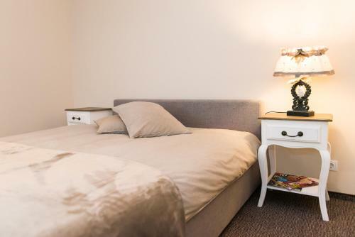 Cozy Apartment In Cesis