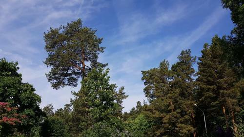 Jurmala Dream Apartment