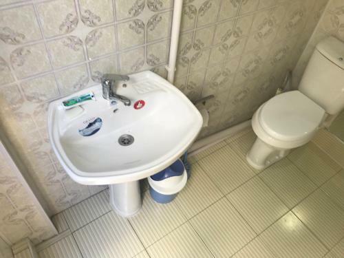 Diyor Hostel