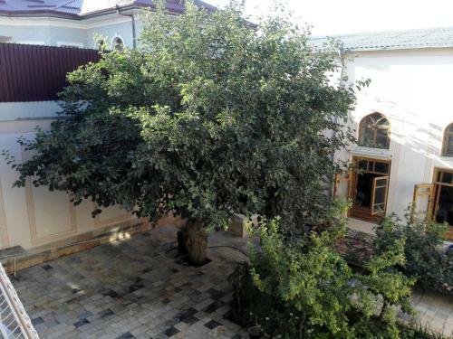 Bed & Breakfast Hotel Mosque Baland