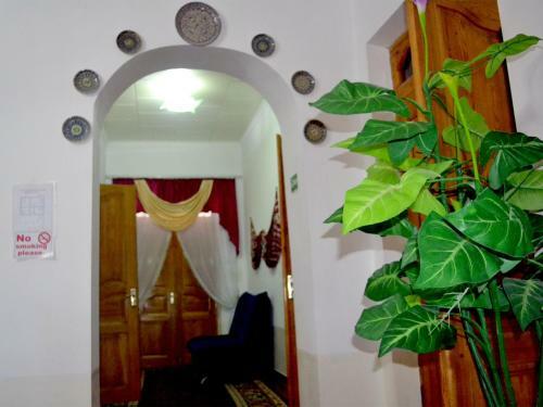 Khiva Alibek B&B