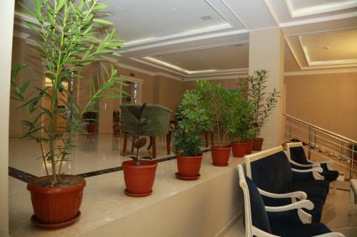 Tashkent Hotel
