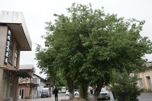 Hostel Gulsara