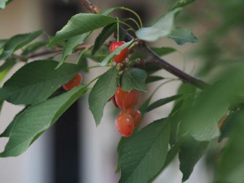 Hostal Antica B & B Samarkand