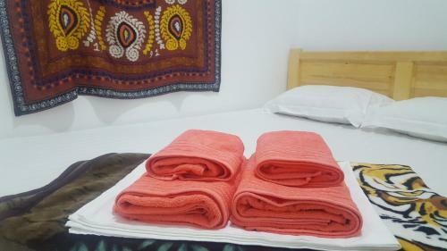 Amir Hostel