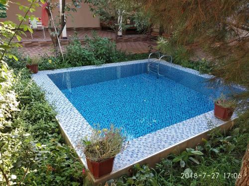 Hostal Faride Guest House