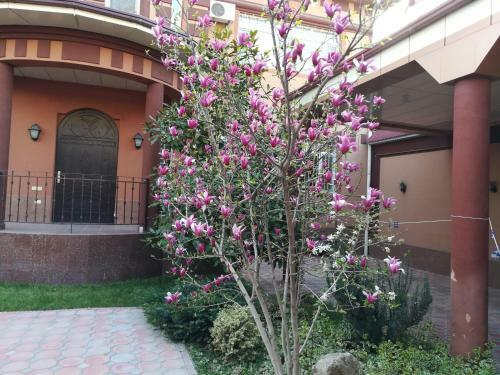 Albergue "?rcha Hotel"