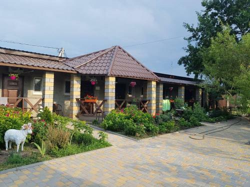 Hostal Svitoch