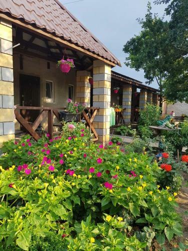 Hostal Svitoch