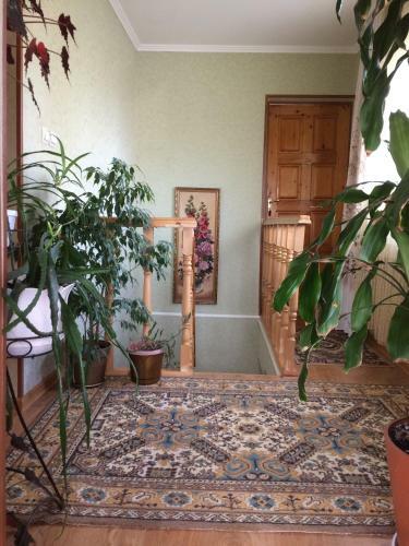 Hostal Rooms With Fortetsya View