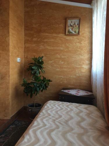 Hostal Rooms With Fortetsya View
