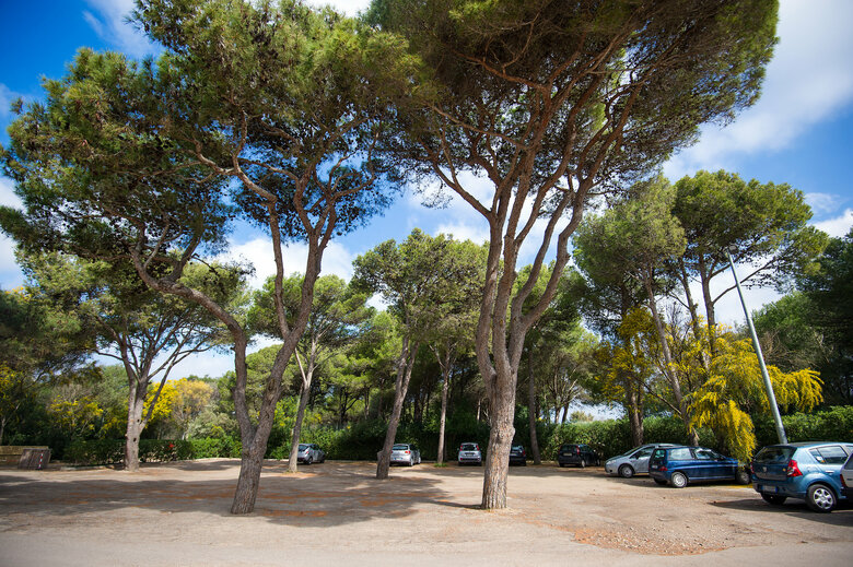 Hotel Le Sirene Ecoresort