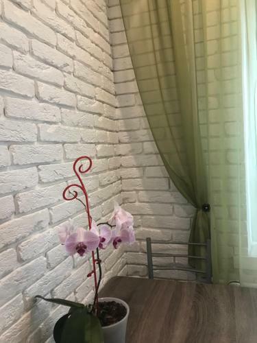 Apartment Obolon
