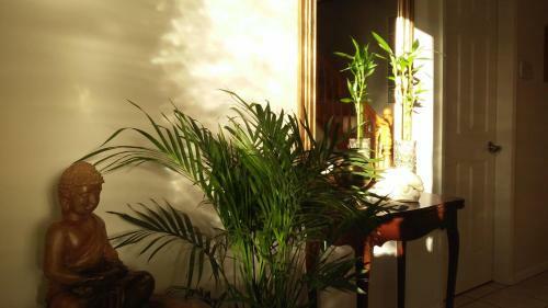 Hostal Burris Guest House