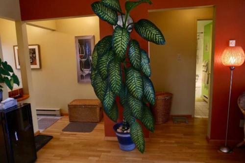 Apartamento Magog Lovely Vacation Home