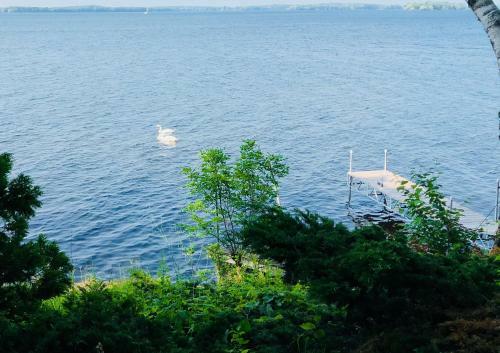 Scenic Waterfront Cottage