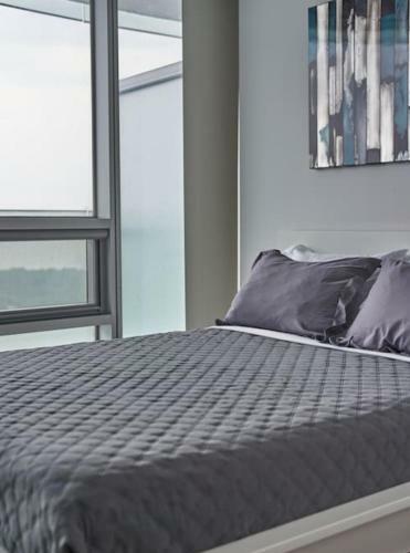 Toronto York Best Apartment