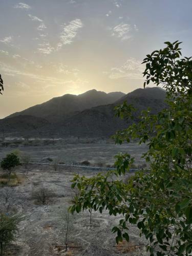 Agroturismo Alshahad Farm